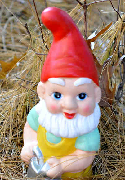 Plants Nouveau Gnome