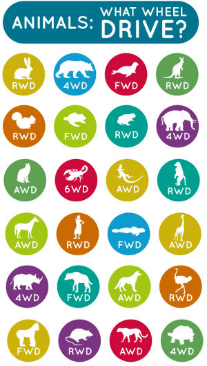 January | 2017 | Track Talk | Page 4